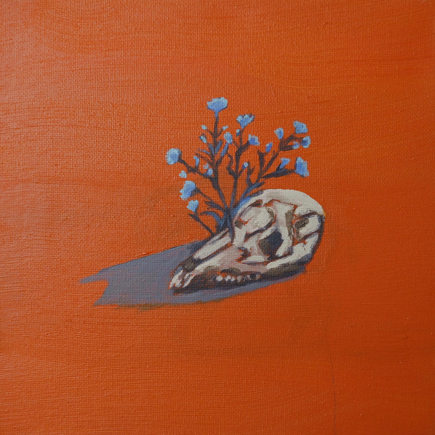 Spring Thaw— Original Skull & Wildflower Painting, 8x8