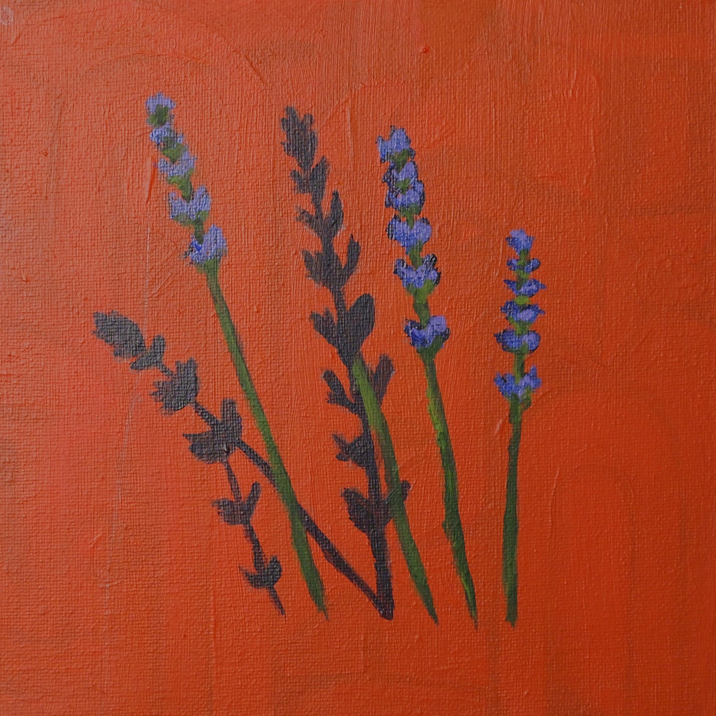 Wildflower Season — Original Wildflower Painting, 8x8
