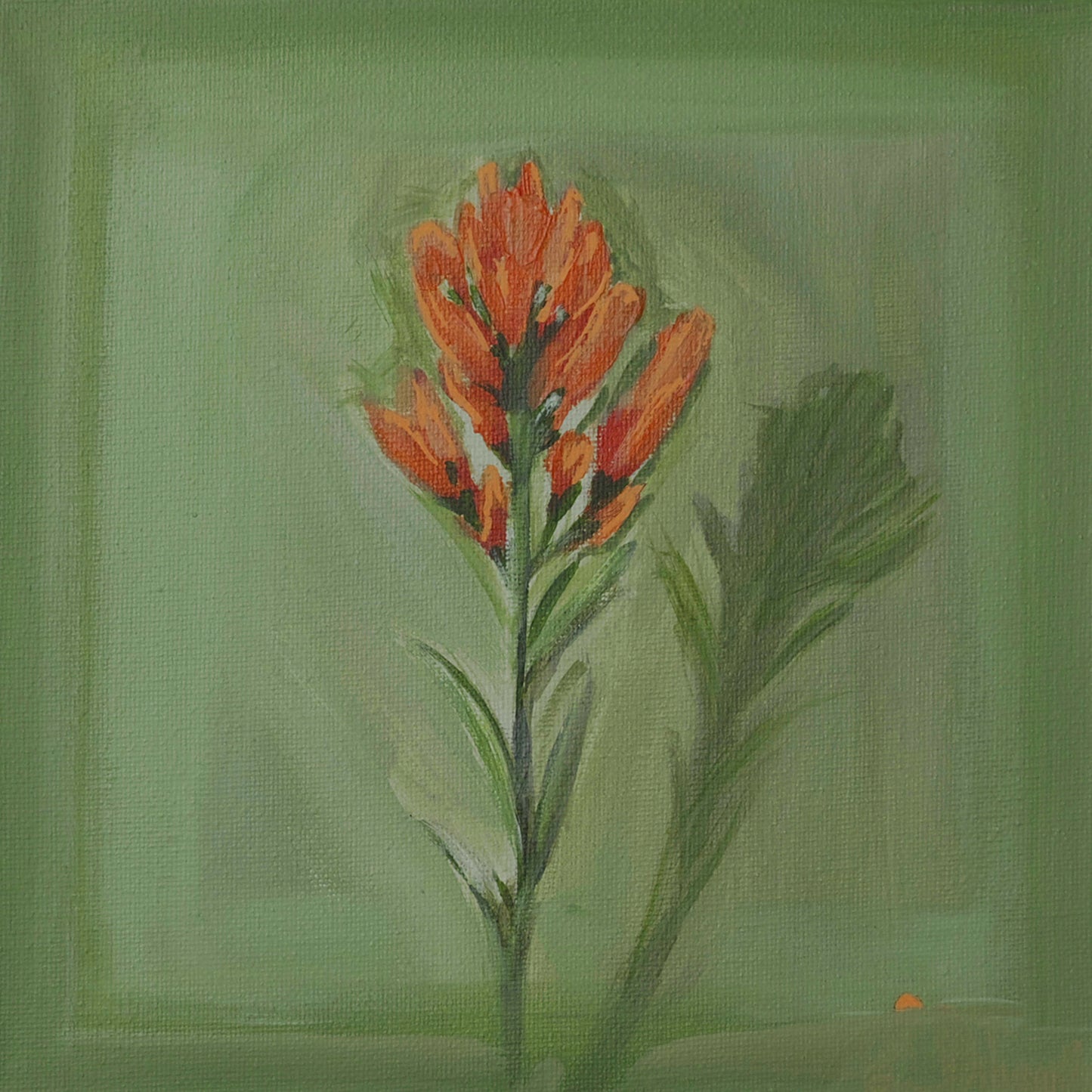 Trailside— Original Colorado Wildflower Painting, 8x8