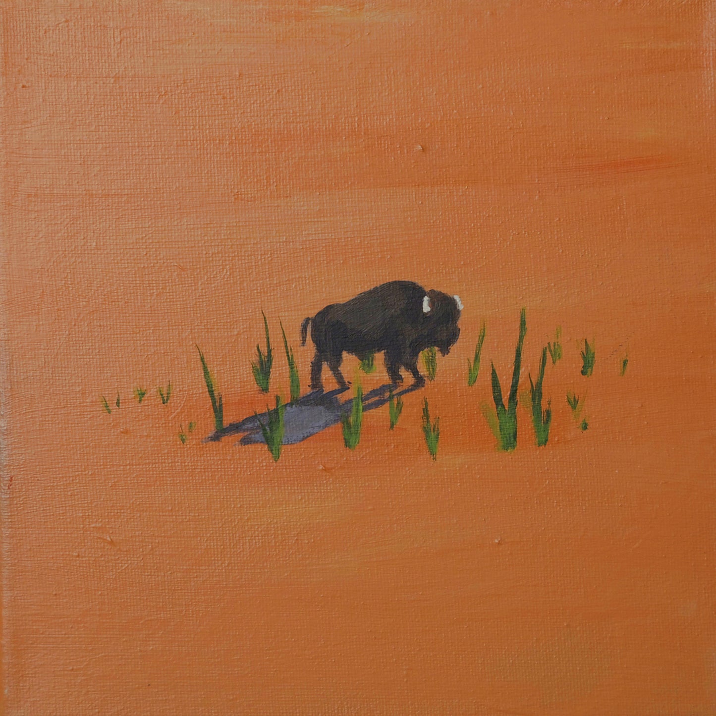 Open Range — Original Bison Painting, 8x8